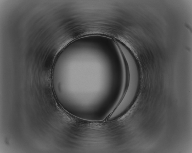 X0000091931137200709191354