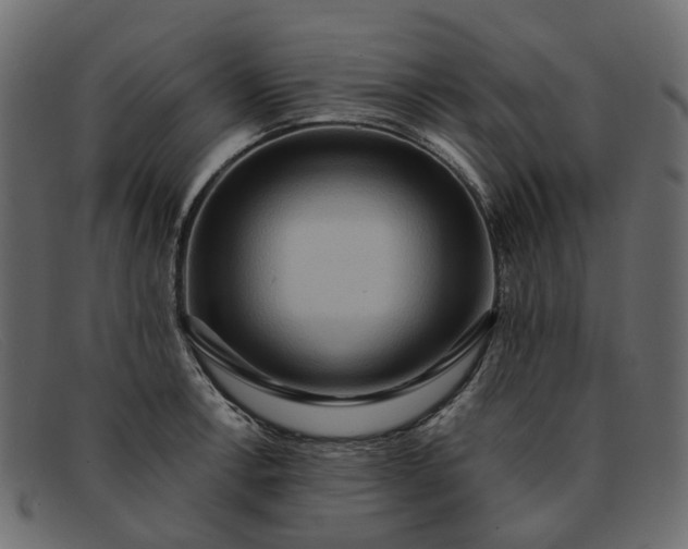 X0000091931138200709191354