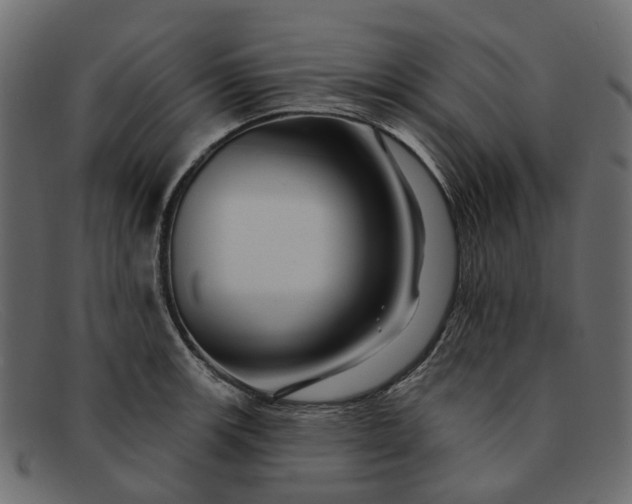 X0000091931139200709191354