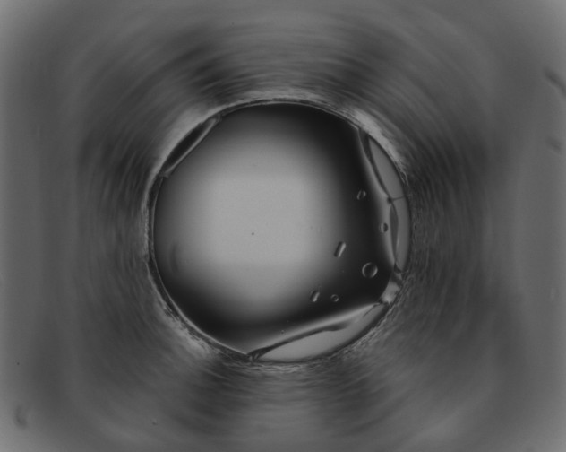 X0000091931140200709191354