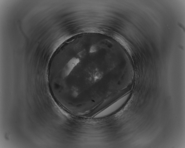 X0000091931141200709191354