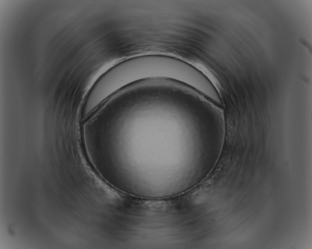 X0000091931142200709191354