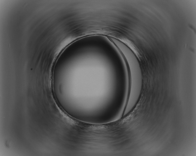 X0000091931143200709191354