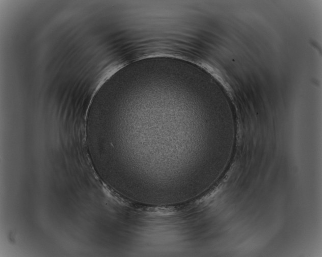 X0000091931145200709191354