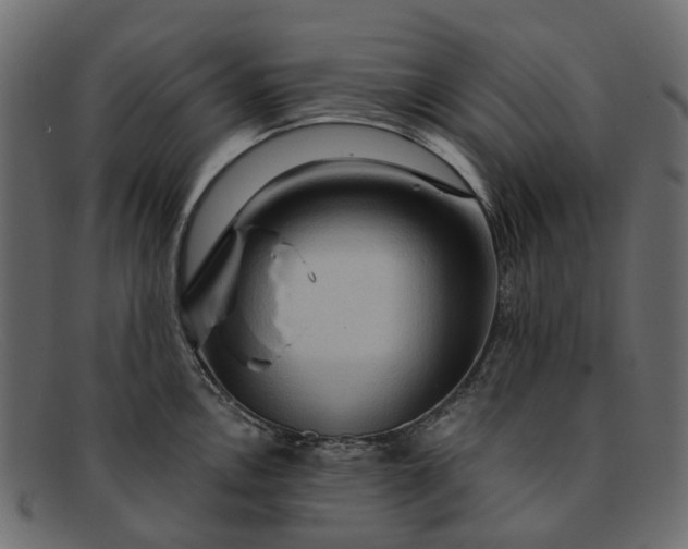 X0000091931146200709191354