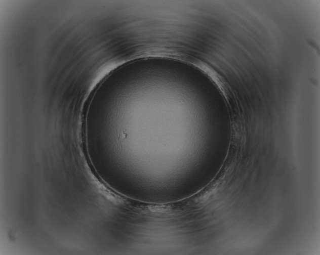 X0000091931147200709191354