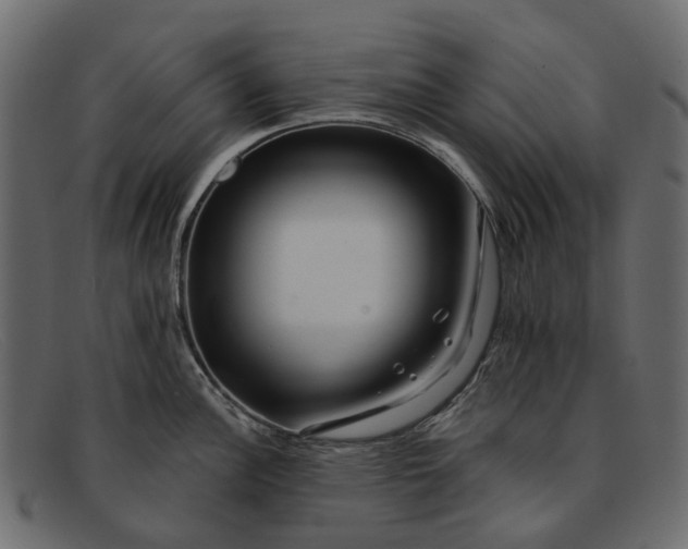 X0000091931148200709191354