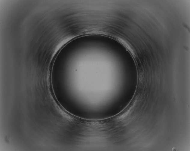X0000091931149200709191354