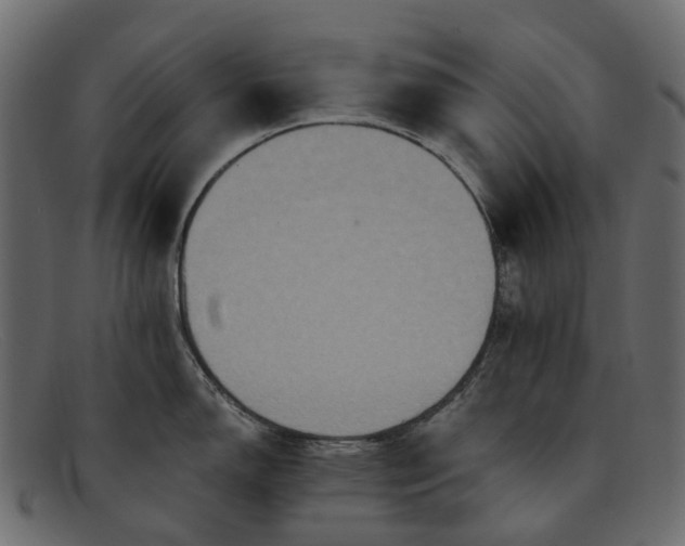 X0000091931150200709191355