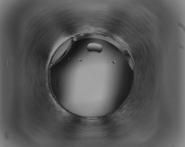 X0000091931152200709191355