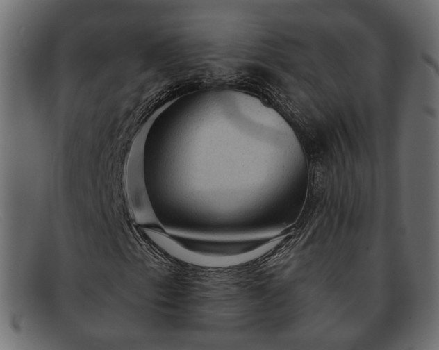 X0000091931153200709191354