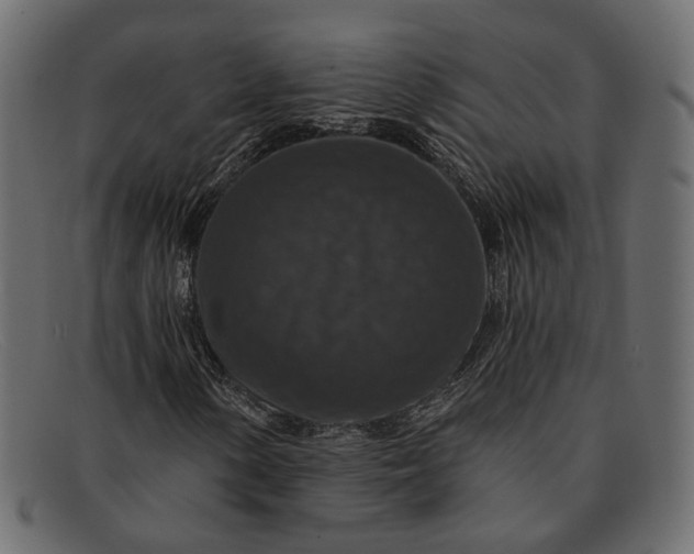 X0000091931154200709191354