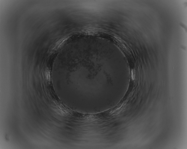 X0000091931155200709191354