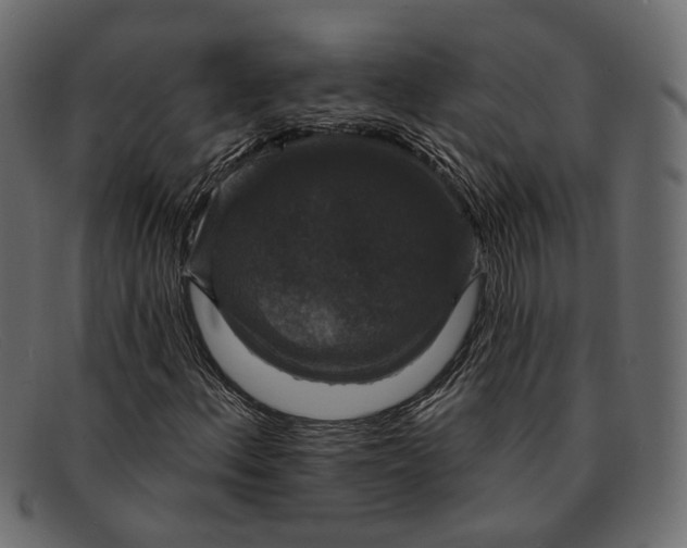 X0000091931156200709191354