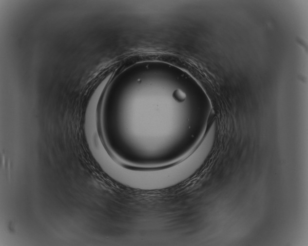 X0000091931157200709191354