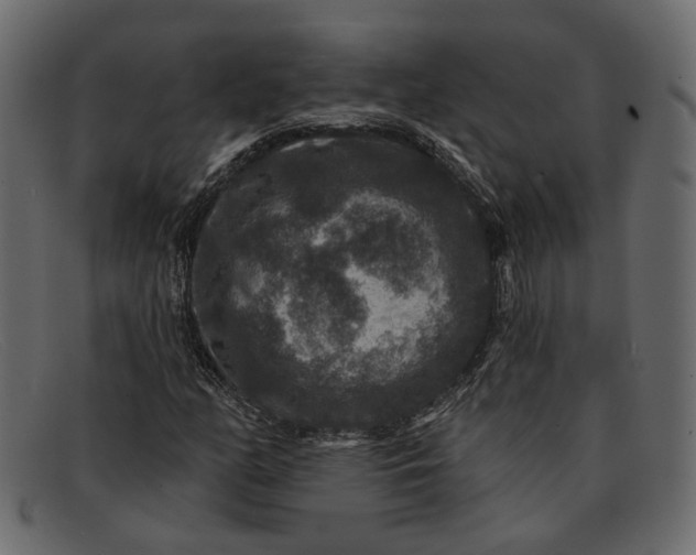 X0000091931158200709191354