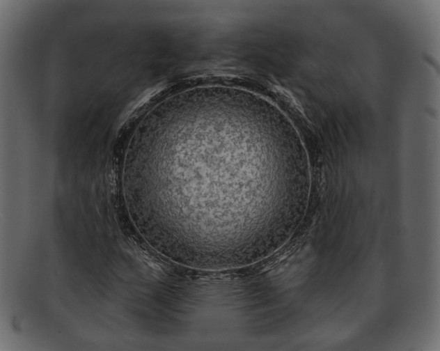 X0000091931159200709191354