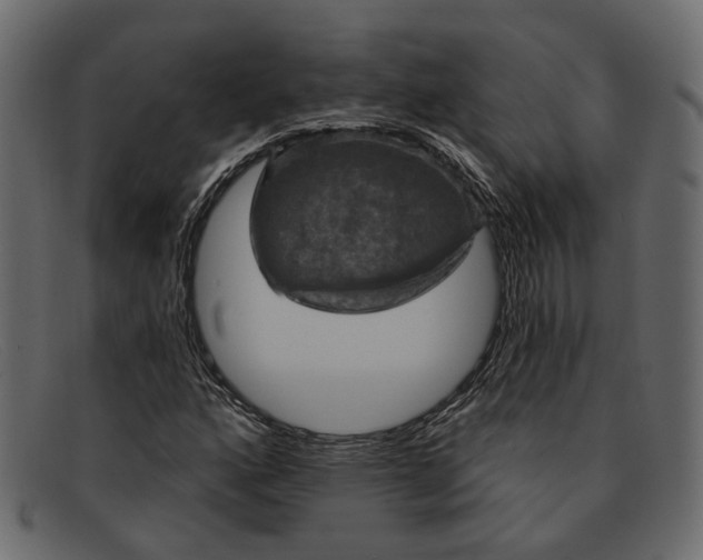 X0000091931160200709191354