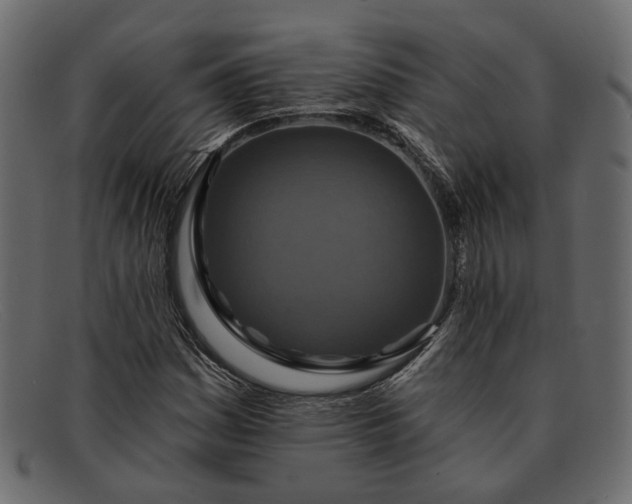 X0000091931161200709191354