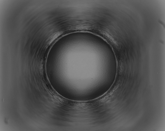 X0000091931162200709191354