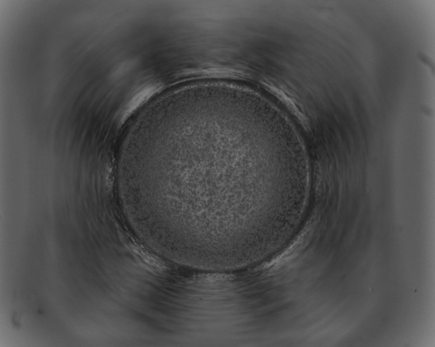 X0000091931163200709191354