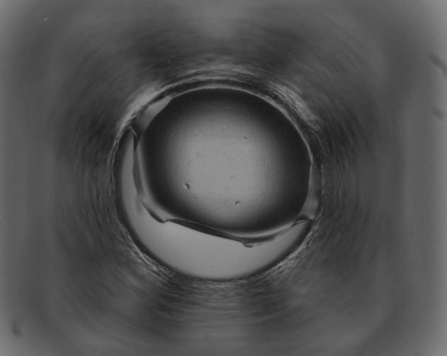 X0000091931164200709191354