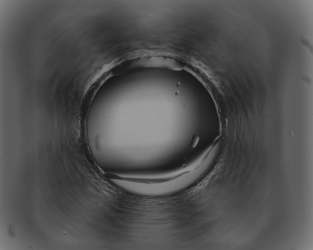 X0000091931165200709191354