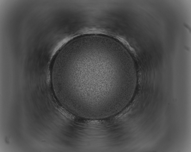 X0000091931167200709191354
