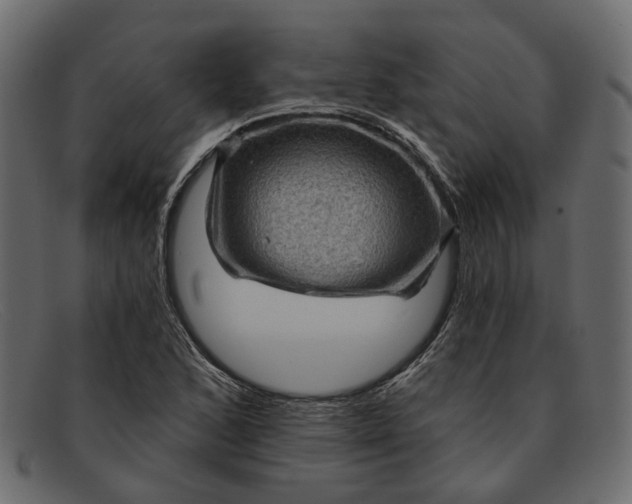 X0000091931168200709191354