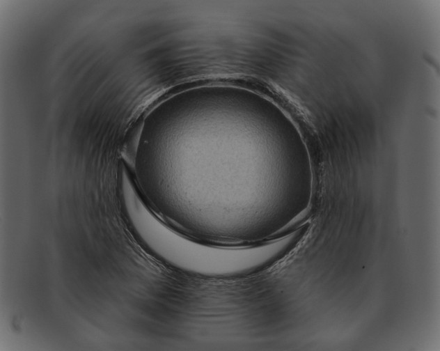 X0000091931169200709191354