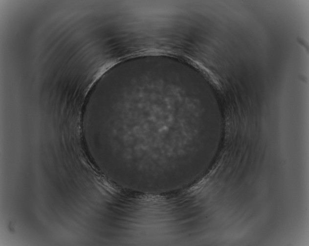 X0000091931170200709191354