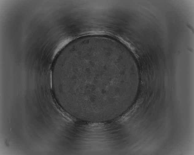 X0000091931171200709191354