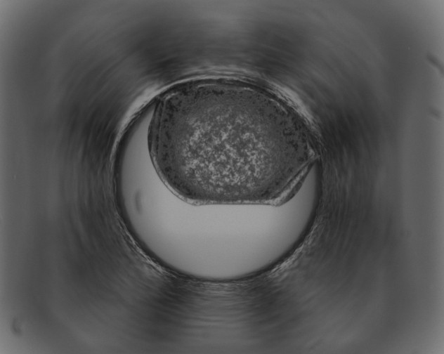 X0000091931172200709191354