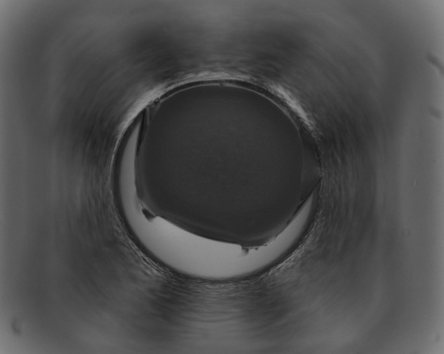 X0000091931173200709191354