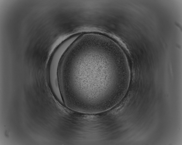 X0000091931175200709191354