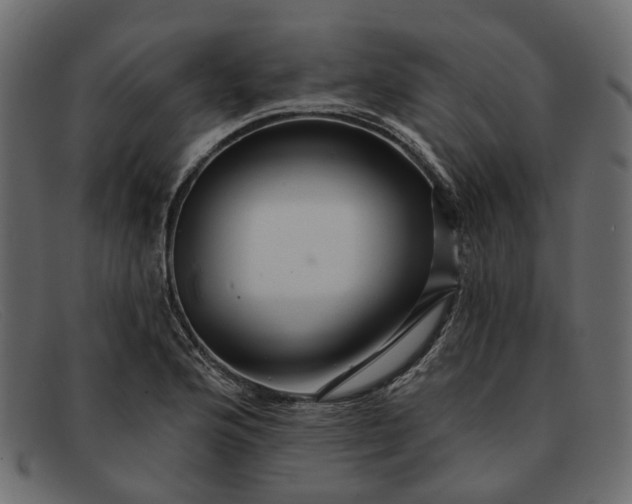 X0000091931176200709191353