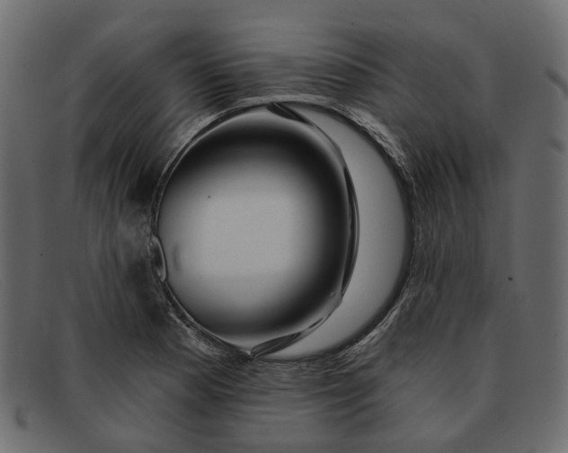 X0000091931177200709191353