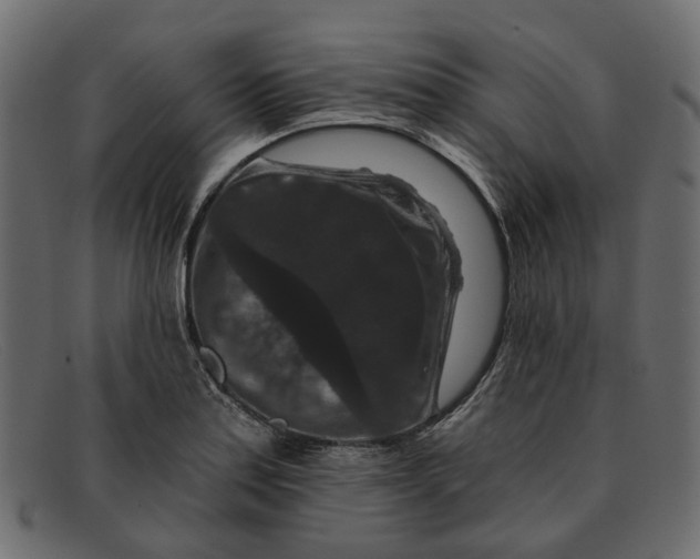 X0000091931179200709191353