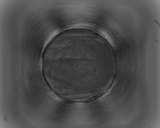X0000091931180200709191353