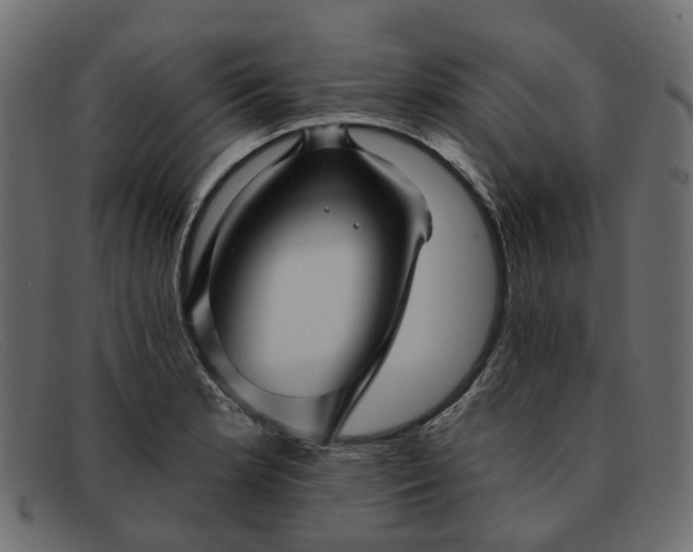 X0000091931181200709191353