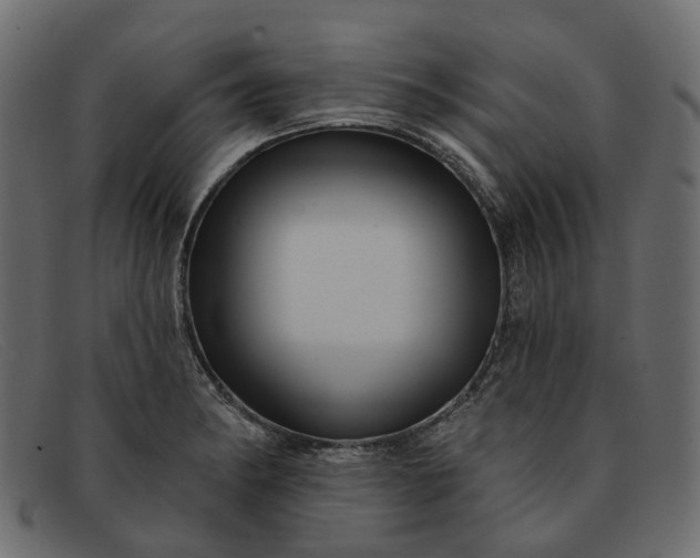 X0000091931182200709191353
