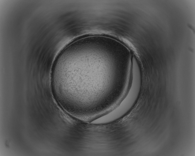 X0000091931183200709191353