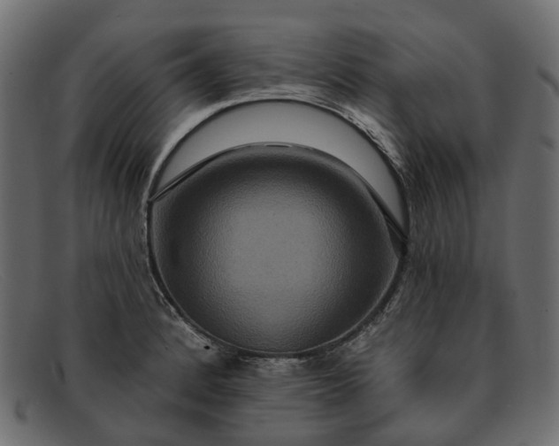 X0000091931184200709191353