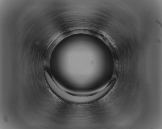 X0000091931185200709191353