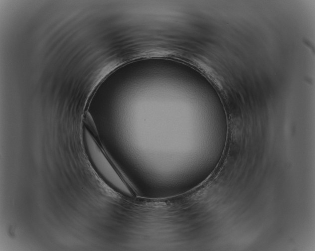 X0000091931186200709191353
