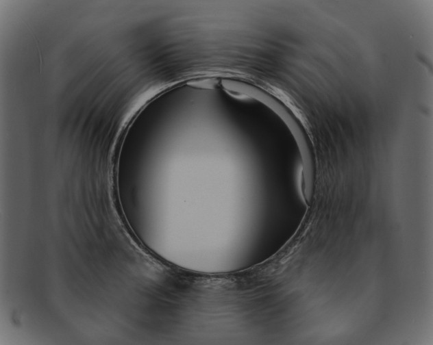 X0000091931187200709191353