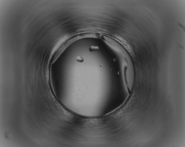 X0000091931188200709191353