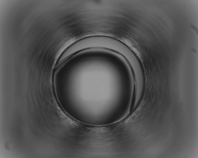 X0000091931189200709191353
