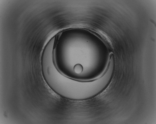 X0000091931192200709191353