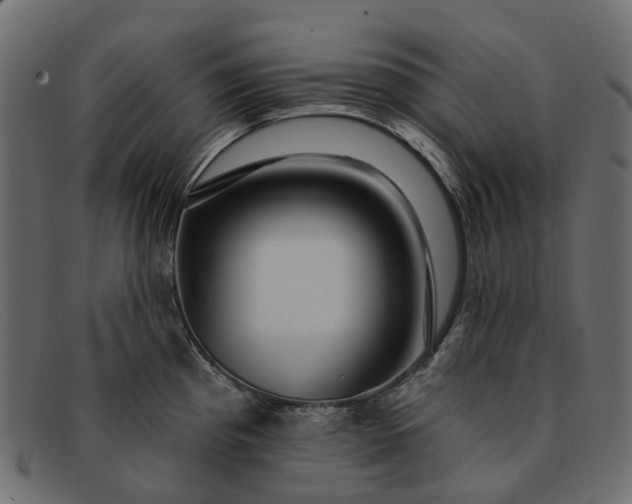X0000091931193200709191353